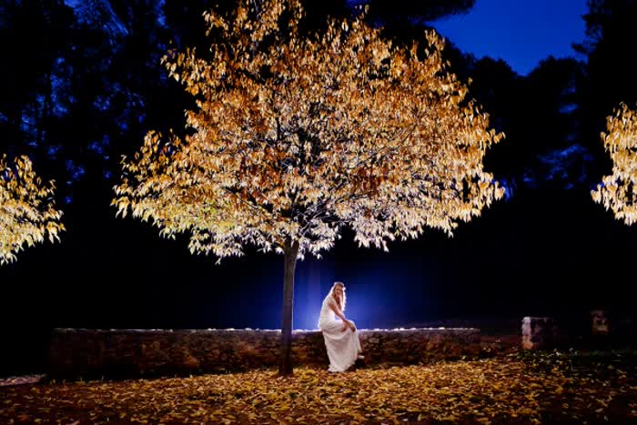 Fotógrafo Bodas